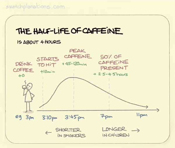 A diagram of the half life of chemical process of caffeine